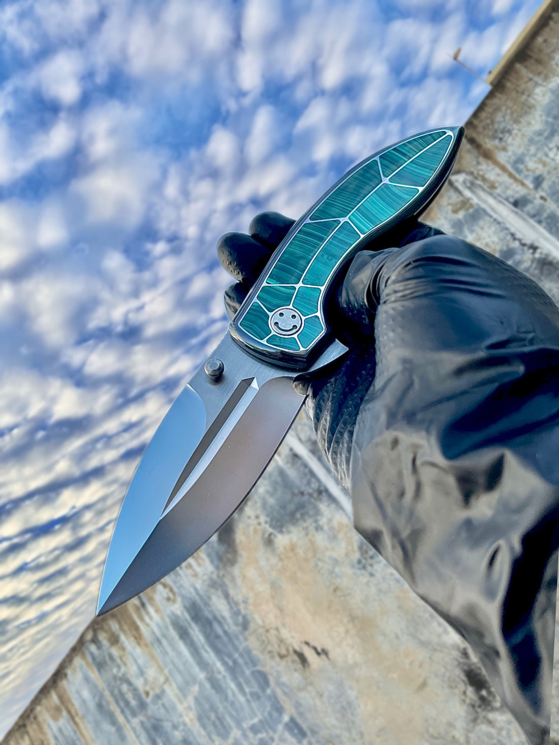 Infinite Charlie sea bream